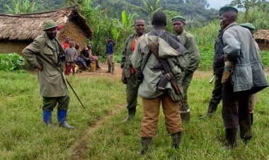 RDC : Des ADF contournent les positions de la coalition FARDC-UPDF et tuent plus de 13 civils dans 3 jours à Beni-Irumu