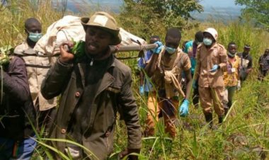 État de siège : Sous la pression de la coalition FARDC-UPDF, des ADF tuent 70 civils dans 3 jours à Irumu