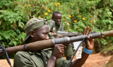 ITURI : 3 civils tués dans le violent combat entre la coalition FARDC-UPDF et des ADF à Boga