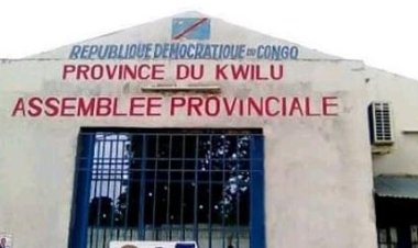 RDC : En route vers Kinshasa, trois députés provinciaux trouvent la mort par noyade