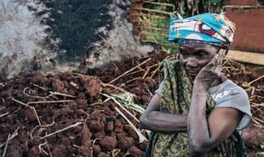 Nord-kivu: Une localité attaquée 5 fois par des ADF dans 3 jours à Beni