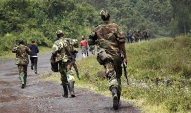 Nord-Kivu : Les rebelles du M23 se retirent des positions occupées et invitent le gouvernement congolais au dialogue (communiqué)