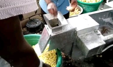 Goma: les jeunes étudiants de l'ISTA ont inventé une machine électrique capable d'éplucher 30Kg de pommes de terre en 5 minutes et coupe fritte