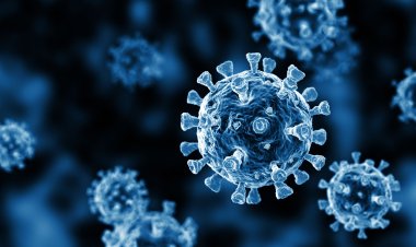Santé: les Scientifiques Américains cherchent les personnes qui n'ont jamais été contaminé par le Covid19