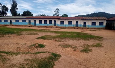 Activismes ADF  : A Beni  Plus de 60 écoles n'ont pas ouvert leurs portes  à Ruwenzori l'année 2022
