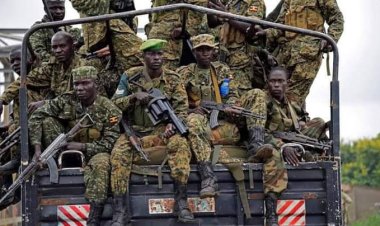 Traque des ADF: l'Ouganda annonce le retrait de ses troupes dans l'Est de la RDC