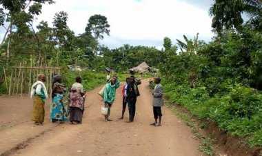Ituri: Une véritable terreur laissée par des ADF à Walese vonkutu
