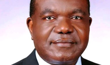 Afrique : Freddy Matungulu quitte le conseil d'administration de la BAD