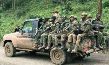 Affrontements FARDC et M23 : Voici la communication officielle de l'armée congolaise