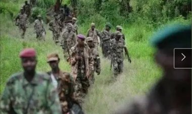 Nord-Kivu : 500 Militaires Rwandais sont entrés en RDC