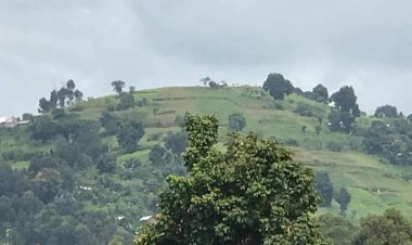 Nord-Kivu : Les équipements d'une radio communautaire saccagés par les M23 à Rutshuru(JED)