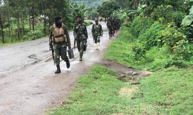 Goma : 4 morts et 2 blessés après une fusillade à la petite barrière