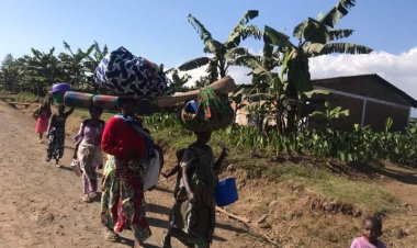 Rutshuru:Les terroristes du M23 pillent la localité de Kabindi