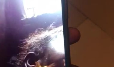 Urgent/Kinshasa : Une jeune dame kidnappée dans la matinée de ce mercredi 29 juin 2022