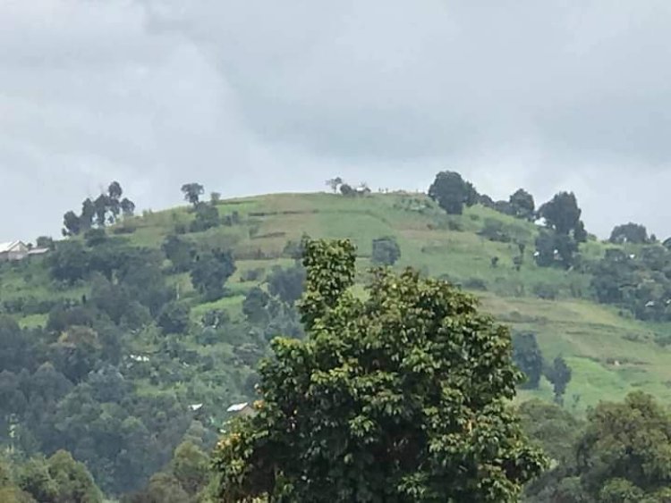 Nord-Kivu : Les équipements d'une radio communautaire saccagés par les M23 à Rutshuru(JED)