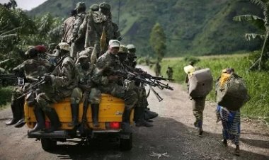 Souvenir : Découvrez l'exploit de Mamadou Ndala qui chassait les M23 (Vidéo)