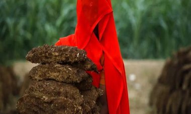 Dans ce pays , les jeunes filles utilisent de la bouse de vache comme serviette hygiénique