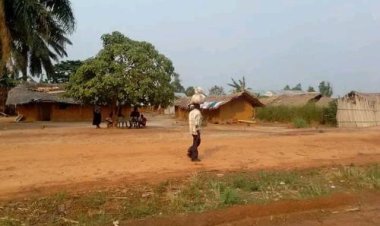 Conflit Teke-Yaka : plus de 30 morts dans un nouvel affrontement au village Fadiaka