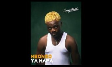 Flash/Vidéo : Découvrez "Mbongo Ya Mapa" LR nouveau clip de Samy Palila