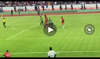 Foot : Voici le but du siècle marqué par l'artiste Grand P qui fait rire les oiseaux (Vidéo)