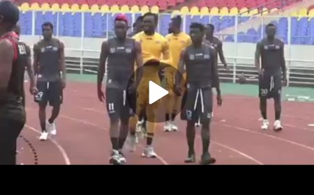 CHAN : Première séance d'entraînement des léopards (vidéo)