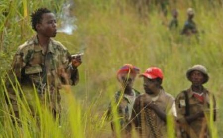 Ituri: un nouveau groupe armé dénommé « MAPI" naît