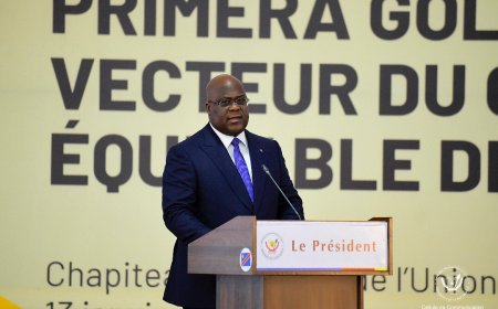 Les militants de l'UDPS ont surnommé, Félix Tshisekedi, "Le Roi Soleil", "L’inzouloukable", "Lazard ressuscité"