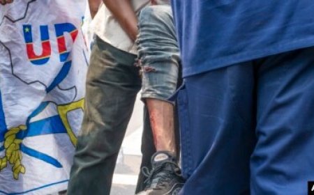 RDC : l'UDPS était en contact avec le M23 et a envoyé une délégation à Bunagana ( ONU )