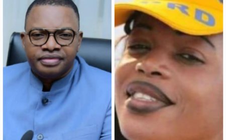 RDC-Projet Tshilejelu : L’ex conseiller spécial du Chef de l’État Alexy Kayembe va en justice contre l’influenceuse des réseaux sociaux Denise Dusauchoy