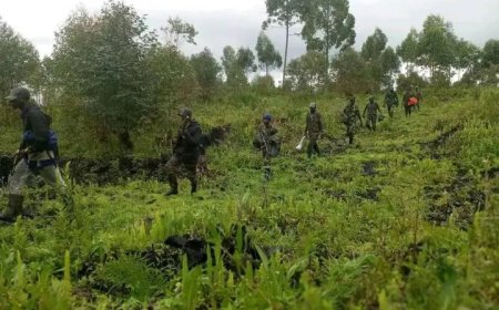 Guerre à l'Est : voici le communiqué du M23 après avoir réussi des frappes des FARDC