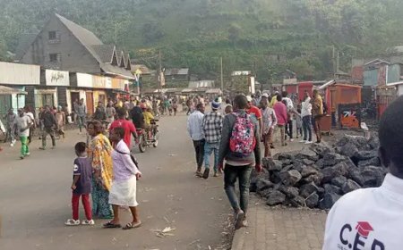 Nord-Kivu : Voici la vidéo qui a fait paniquer la population de Saké