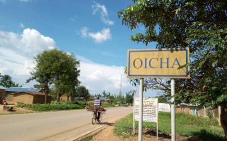 Beni : Au-moins 11:morts dans une incursion rebelle à Oicha