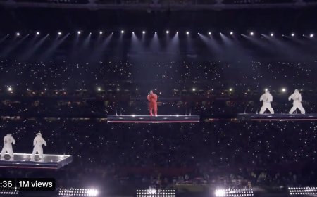 Un impressionant concert de  Rihanna lors de la mi-temps du Super Bowl