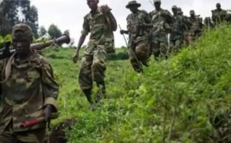 Nord-Kivu : le M23 interdit aux radios de la zone sous son contrôle de faire le relais avec "Top Congo FM"