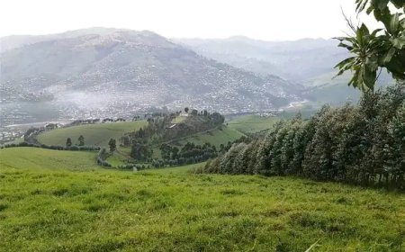 Agression dans l'Est : 3 hélicoptères de l'armée rwandaise ont plusieurs rotations à Tshanzu (J-P Biemba) effectué