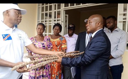 Kasai-Central : PADRIR dote des agrimultiplicateurs  de semences de base pour contribuer à la lutte contre la réduction de la pauvreté