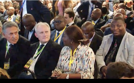 Forum Économique de Kinshasa:La coopération gagnant-gagnant entre la #France et la RDC