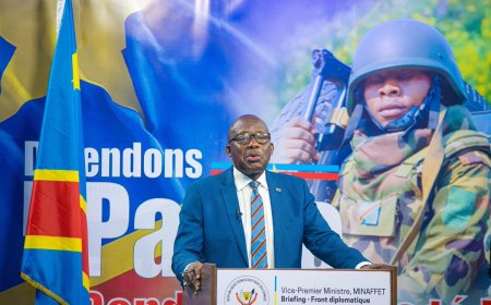 Christophe Lutundula a  déclaré que l'armée de la RDC faisait face à trois armées : une armée de terroristes et deux armées régulières