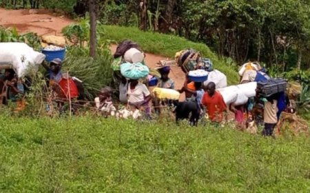 Plus de 50 000 déplacés arrivent à Beni en l'espace de 4 jours, dans la province du Nord-Kivu
