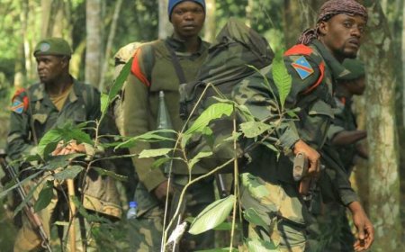 Les  FARDC ont récupéré samedi 29 avril APETINA, un grand bastion des terroristes #ADF  lors d'une opération spéciale de l'armée congolaise