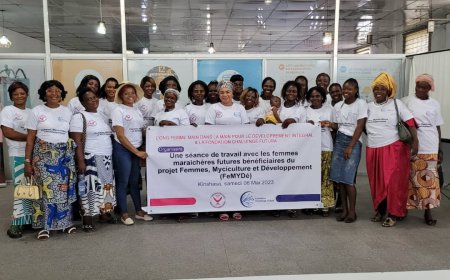 Kinshasa : Grâce à FMMDI, des femmes cultivatrices benificient d'un projet pour la production des champignons