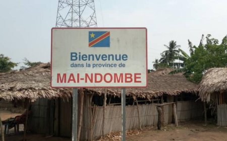 Kinshasa : Plusieurs morts dans une incursion des miliciens