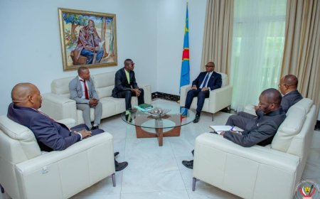 Le Directeur Général du Guichet unique de délivrance de Permis de Construire (GUPEC), une institution déjà en fonctionnement à Kinshasa, a été reçu par le Premier Ministre Jean-Michel Sama Lukonde.