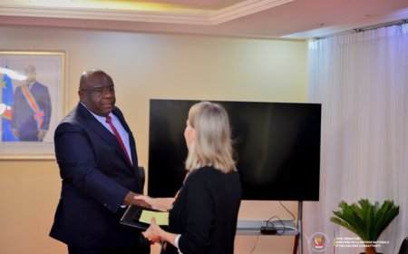 Les États-Unis ont une fois de plus appelé les forces rwandaises à se retirer du territoire congolais.
