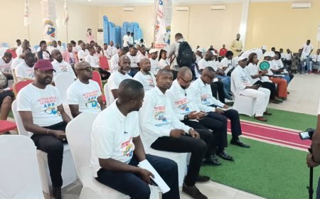 Kinshasa/Mont-Amba: Installation du comité fédéral du parti politique Action pour le Peuple