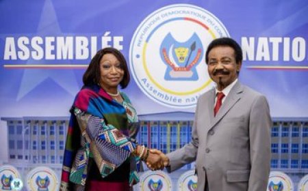 Conduite par sa présidente, Mme Marie-Thérèse Keita Bocoum, la délégation onusienne a échangé avec le président de la Chambre basse du Parlement sur la justice transitionnelle