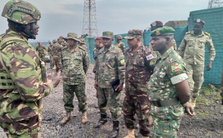 RDC :  Bemba ordonne à l'armée de poursuivre les opérations militaires contre les milices et le M23