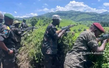 Nord-Kivu : les FARDC ont réussi à neutraliser 3 rebelles ADF et capturer 4 autres dans le secteur de Ruwenzori