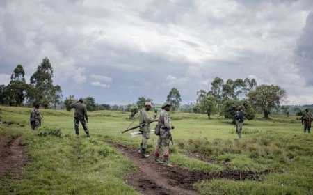 Guerre du M23 : l'armée Rwandaise prépare envoyer ses militaires au Nord-Kivu ( Alerte)
