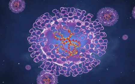 Épidémie de Monkeypox en RDC :plus de 5200 cas suspects enregistrés
